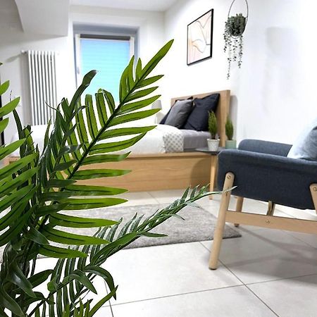 לוגאנו The Hidden Studio; Comfy & Close To The Lake מראה חיצוני תמונה