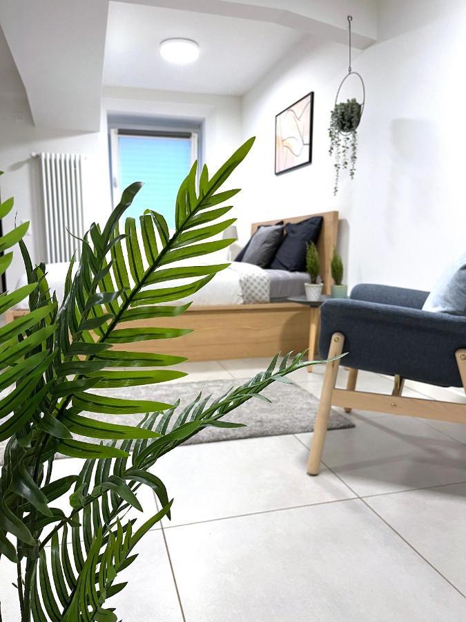 לוגאנו The Hidden Studio; Comfy & Close To The Lake מראה חיצוני תמונה